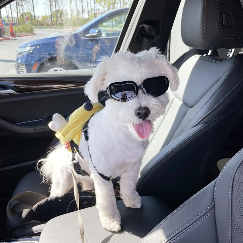 PETLESO Dog Goggles Small Breed, Dog Sunglasses Small Breed Goggles for Small Dogs Riding Driving Black