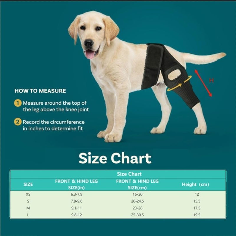 Pezluxe Dog Knee Braces for Back Leg, Adjustable Torn ACL Brace for Dogs, Breathable Dog Hip Brace with Stabilizers for Arthritis, Joint Stability, Luxating Patella & Post-Surgery Recovery (S) S