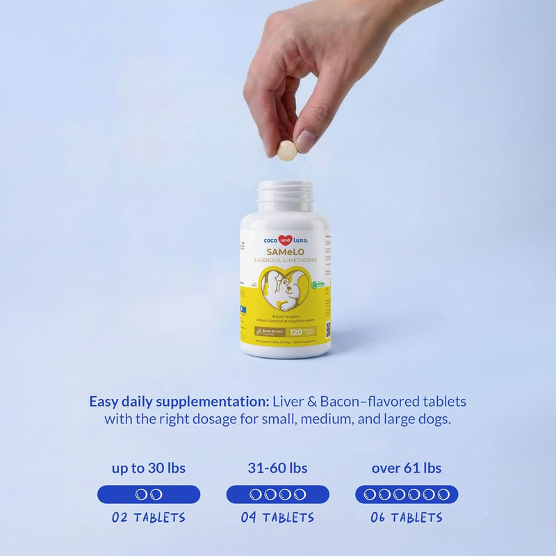 SAMe for Dogs - S-Adenosyl-L-Methionine, Liver Supplements for Dogs - Brain Supplement for Dogs, Promotes Cognitive Support, Liver Support Supplement Tablets - PawsPlanet Australia