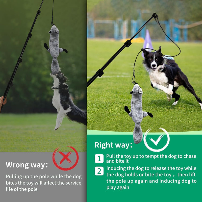 Flirt Pole Dogs, Dog Flirt Pole Extra Strong for Large Medium Small Dogs to Keep The Dog Entertained and Physically Exhausted Ball+Beaver L