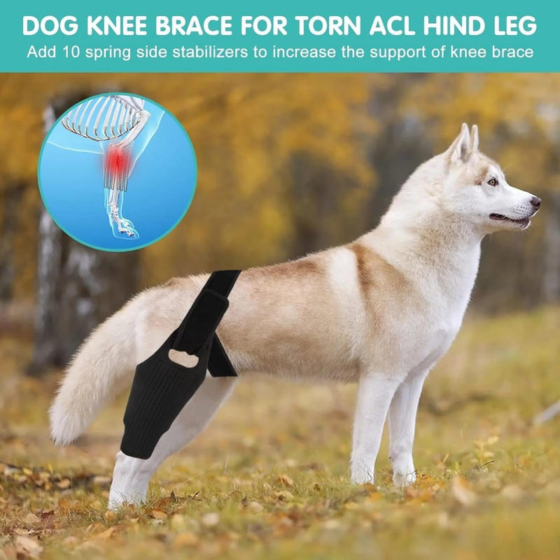 Dog Knee Brace, Dog Leg Brace for ACL Support with Cruciate Ligament Injury, Knee Cap Dislocation, Joint Pain and Muscle Sore, Adjustable Dog ACL Brace with 10 Side Stabilizers, Pet Brace (L) L