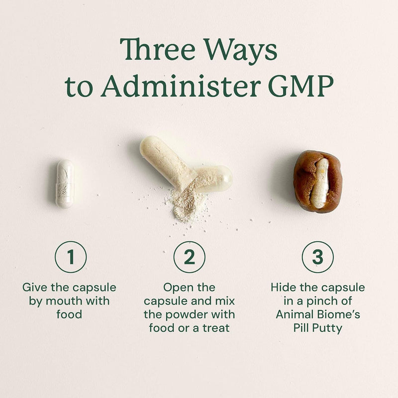 KittyBiome GMP Gut Maintenance Plus Diarrhea Relief for Cats - Triple Action Formula Designed to Reduce Diarrhea Caused by Antibiotics, C. Difficile, or E. Coli