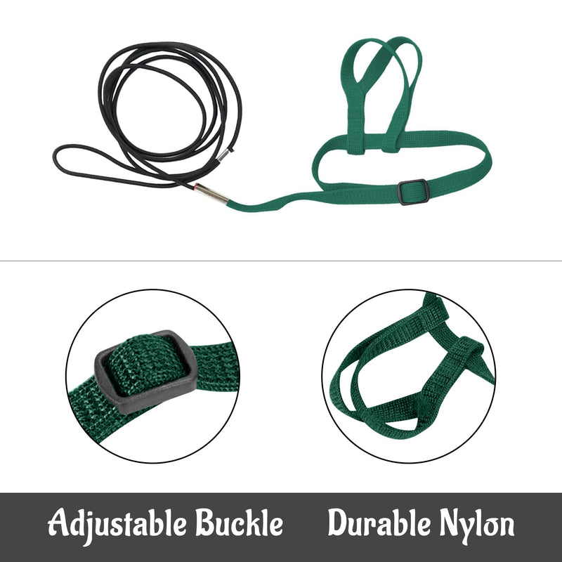 2 pcs Pet Parrot Bird Harness and Leash, Adjustable Training Design Anti-Bite, Outdoor Flying Training Rope Kit for Bird Parrots Fits Birds Chest Between24-51cm /9.45-20inch - M (Green) green Small - PawsPlanet Australia