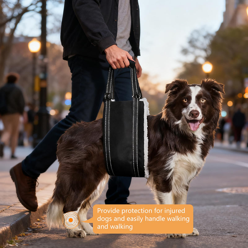 Dog Carrying Aid, Adjustable Walking Aid and Rehabilitation Carry Strap for Various Sizes, Safety Support for Disabled, Injured or Older Dogs, M