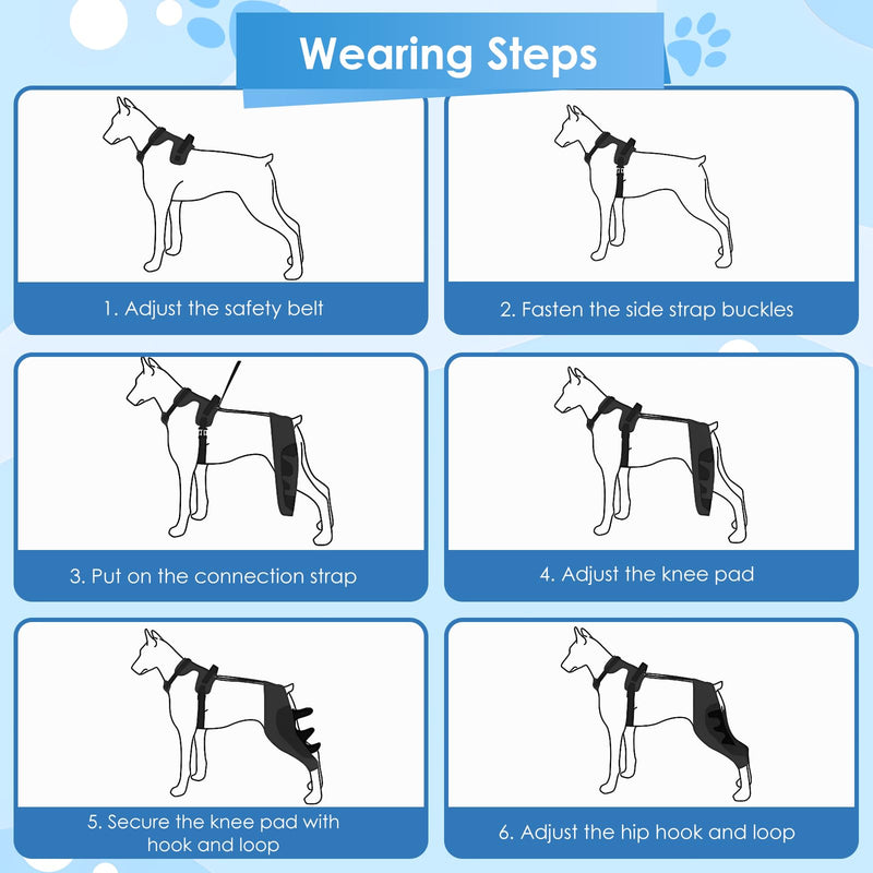 Dog Knee Brace for Hind Leg, Dog Hind Leg Support Protector for Torn ACL Injuries, Keeps Joints Warm and Stable, Cruciate Ligament Support for Injured Dogs, XL