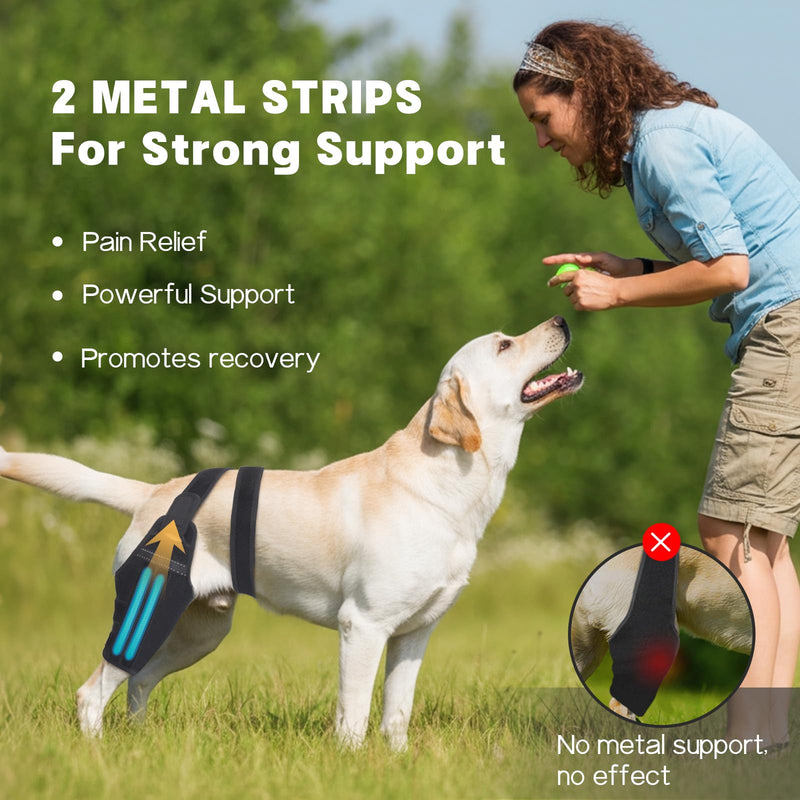 Dog Knee Brace for Torn ACL Hind Leg – Support Dog Leg Brace for Back Leg with 2 Stabilizers, Adjustable Hip Support to Reduces Pain Luxating Patella, Ligament Injuries, CCL (Left Leg, 2XL) Left Leg