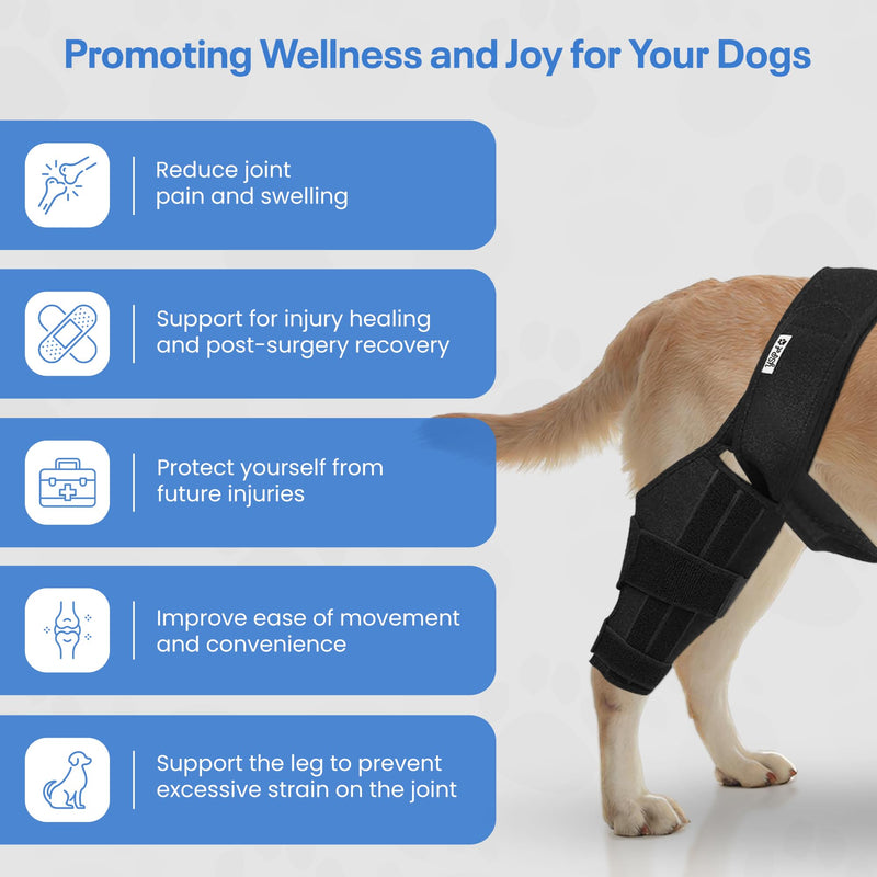 Premium Dog Knee Brace for Torn ACL/CCL - Large Universal Brace for Hind Leg Support and Hip Dysplasia - Durable Dog Leg Braces for All Four Legs Neoprene Dog Knee Brace - PawsPlanet Australia