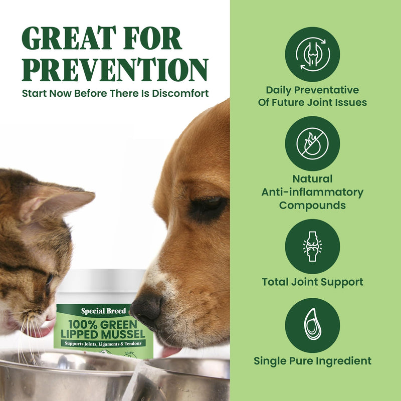 Green Lipped Mussel Powder for Dogs & Cats - 100% New Zealand Green Lipped Mussels - Natural Hip & Joint Supplement for Joints, Tendons, Ligaments, Muscles - 75 Grams - Up to 250 Servings