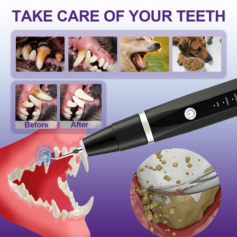 Dog Teeth Cleaning Kit-Dog Tooth Plaque Remover-Ultimate Pet Dental Care Kit - Ultrasonic Teeth Cleaner and Plaque Remover for Dogs | Complete Oral Hygiene Solution-Black Black - PawsPlanet Australia