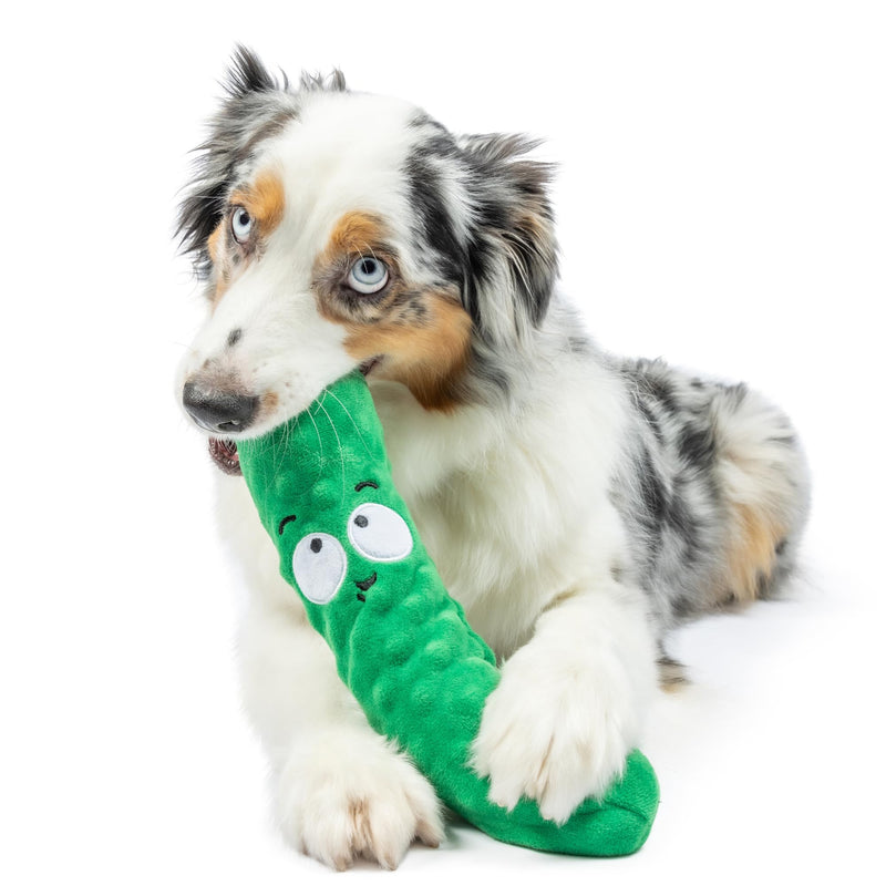 Huxley & Kent for Dogs | Dell Pickle (Small) | Funny Dog Toy | Power Plush Dog Toy with Squeaker | Dog Gift | Fun, Durable | H&K Squeaky Dog Toy Small - PawsPlanet Australia