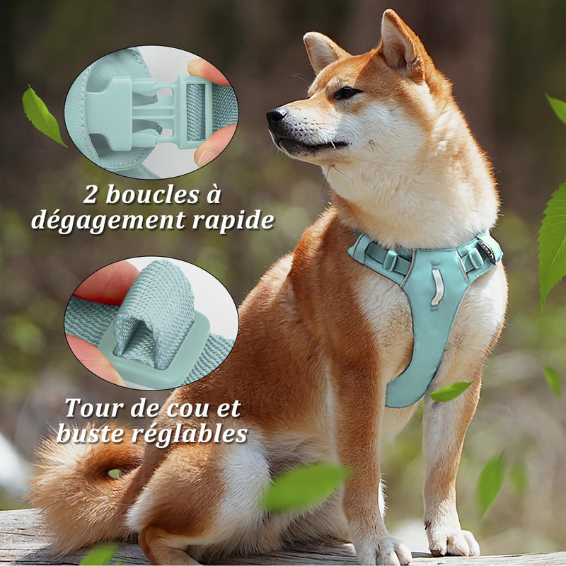 Adjustable Dog Harness Comfortable Vest in Durable Nylon with Strong Buckles, Ideal for Walking, Training, Travel, Outdoor, Small Medium Large Dogs, Green, L Lake green - PawsPlanet Australia