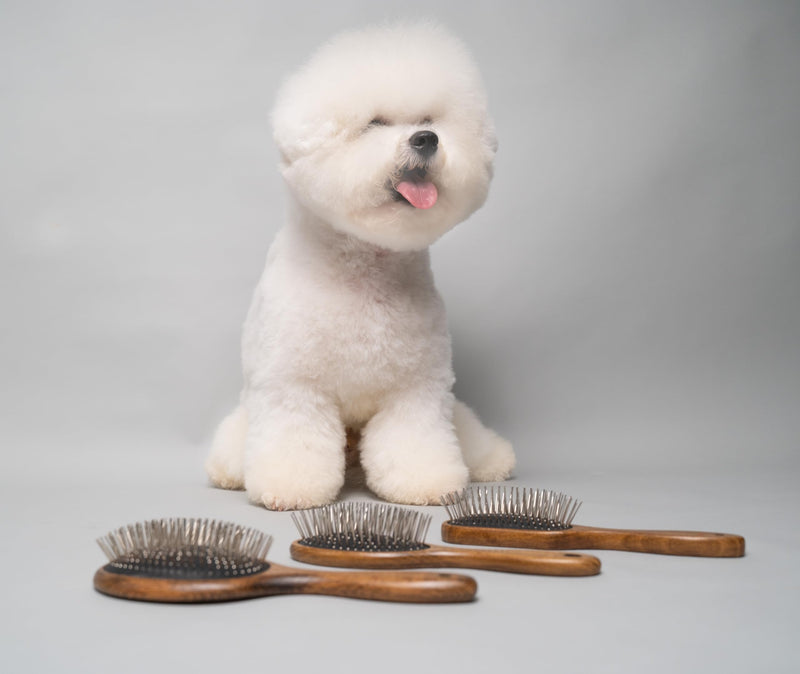 TAURO PRO LINE Wooden Dog Brush for Detangle Long and Short Hair, Wooden Soft Massage Brush for Grooming Haired Dogs and Cats, Flexible Cushion and Non-Slip Grip, Oval, 8,66 x 2,36 inch, Brown Oval S - PawsPlanet Australia
