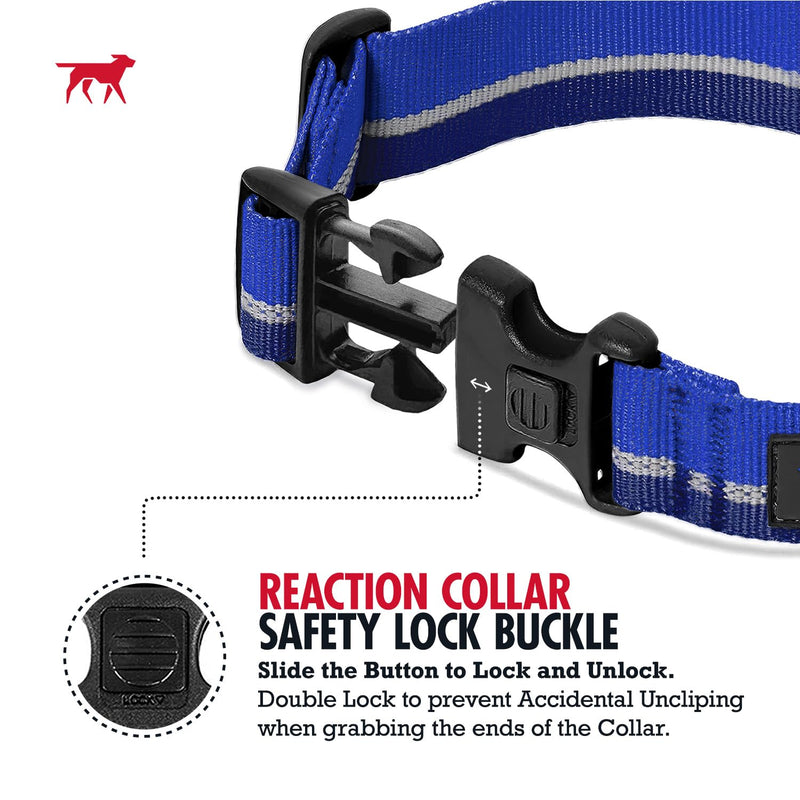 Tuff Pupper Martingale Collar for Dogs | Gentle Nylon & Steel Chain Limited Cinch Design is Perfect for Training | Dual Leash Attachment Points | Durable Quick Release Buckle | Sizing for All Breeds Large (19-24.5" Neck) Blazing Blue - PawsPlanet Australia
