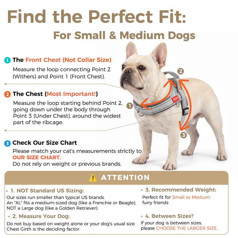 No Pull Dog Harness with Handle, Corgi Adjustable Reflective Dog Vest, Breathable Air Mesh Padded Pet Harness with Front Leash Clip for Small Medium Dogs, Light Grey, XL X-Large - PawsPlanet Australia