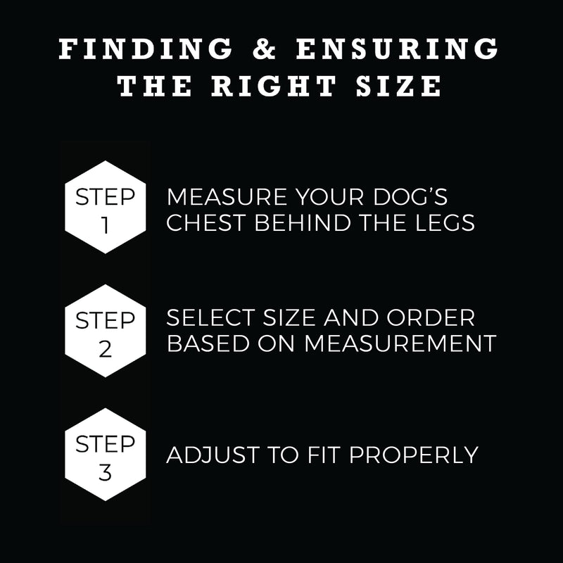 Wolfgang Premium No-Pull Dog Harness for Small Medium Large Dogs, Made in USA, ShatterShapes Print, Large (1 Inch x 20-30 Inch) Large (1 Inch x 20-30 Inch) - PawsPlanet Australia