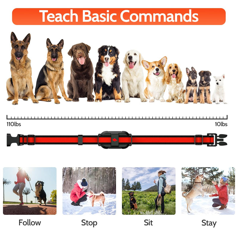 Dog Training Collar with Rechargeable Remote Control 3 Training Modes IPX7 Waterproof Electric Collar Range 3300Ft Bark Collar for Small Medium Large Dogs - PawsPlanet Australia