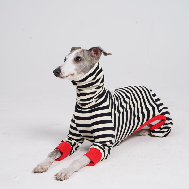 Italian Greyhound Onesie Clothes, Turtleneck Striped Shirt for Whippets Puppy, Light and Thin Shirt for Spring and Summer (Small) Small - PawsPlanet Australia