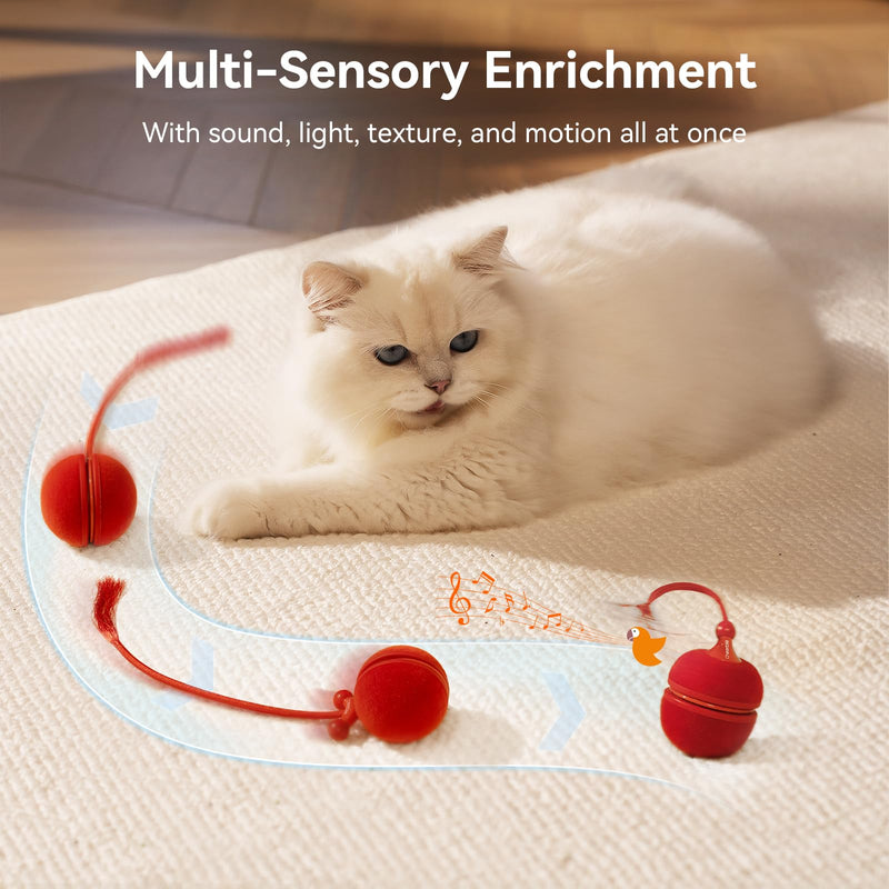 Cheerble Interactive Cat Toys for Indoor Cats - Wicked Ball Duo 2 Automatic Cat Toy with Dual Interchangeable Shells, Electronic Pet Toy with Bird Chirping Sounds, Rolling Cat Toy for Kittens, Red - PawsPlanet Australia