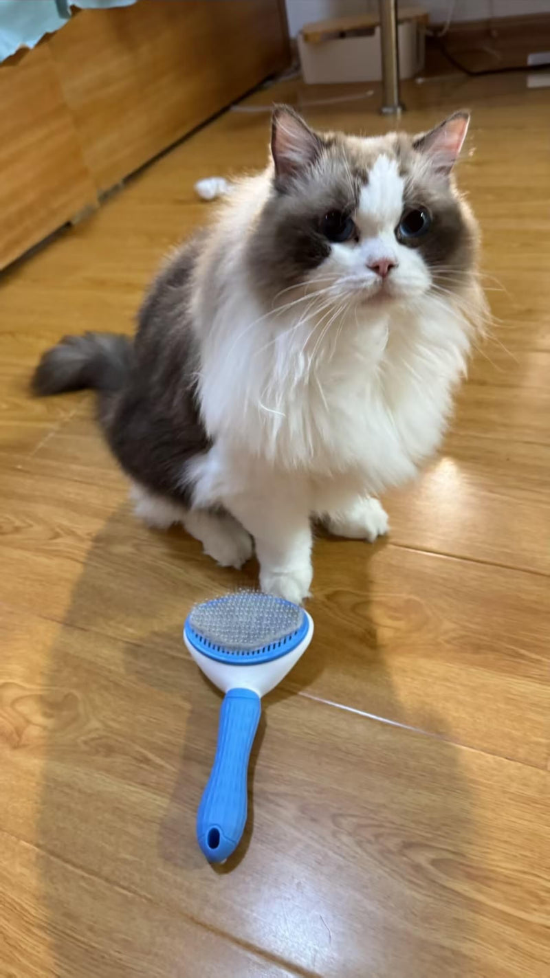 Self Cleaning Pet Brush for Shedding, One-Touch Release Dog & Cat Grooming Brush, Gentle Deshedder with Massaging Bristles for Long & Short Hair Pets - Painless Hair Remover Tool Blue