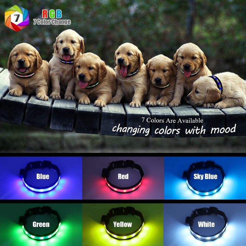 Light Up Dog Collars,Safety LED Dog Collars USB Rechargeable 7 Changing Colors Glow in The Dark Dog Walking Light,Neon Adjustable Safety Buckle Lighted Dog Collar for Small/Medium/Large Dogs, S Size S (13.4-17" / 34.0-43.2 cm)