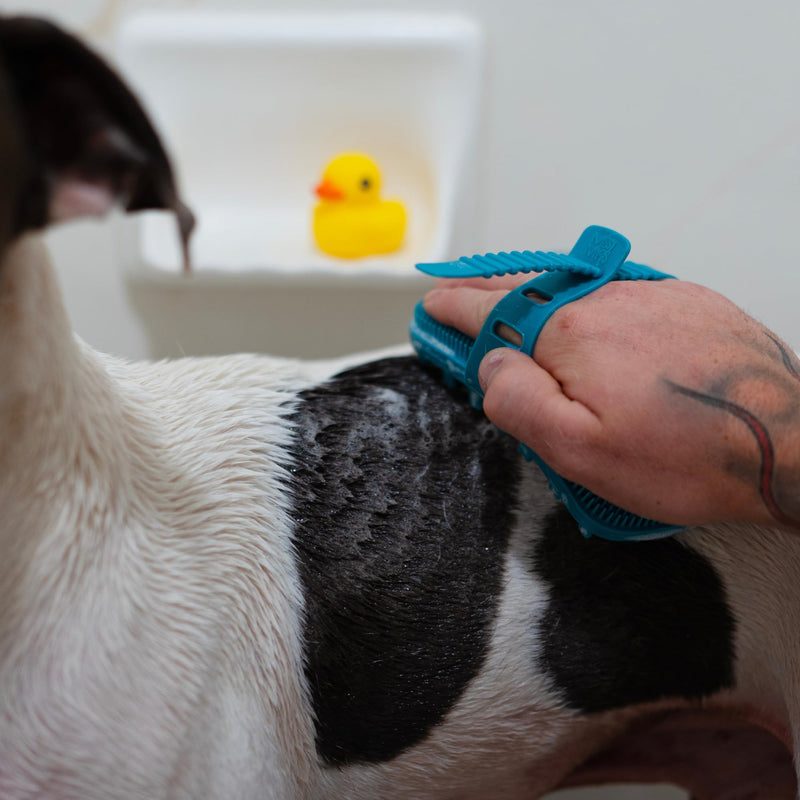Messy Mutts Reversible Silicone Dual Sided Pet Grooming Brush | Gentle Massage, Brushing, Bathing and Dog Hair Removal Tool | One Size Fits All | Blue - PawsPlanet Australia
