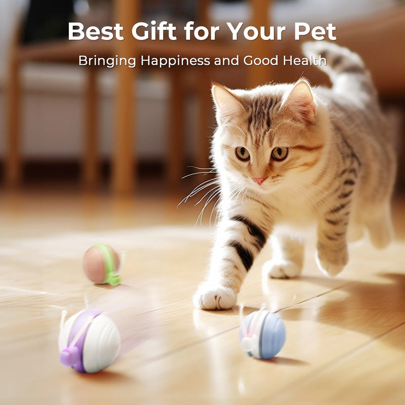 Cheerble Interactive Cat Toy for Indoor Cats, Wicked Snail [2024 Upgraded], Kitten Toys, Automatic Cat Toy with LED Lights, DC Rechargeable Moving Cat Toy, Smart Sensing Electric Cat Toy - PawsPlanet Australia