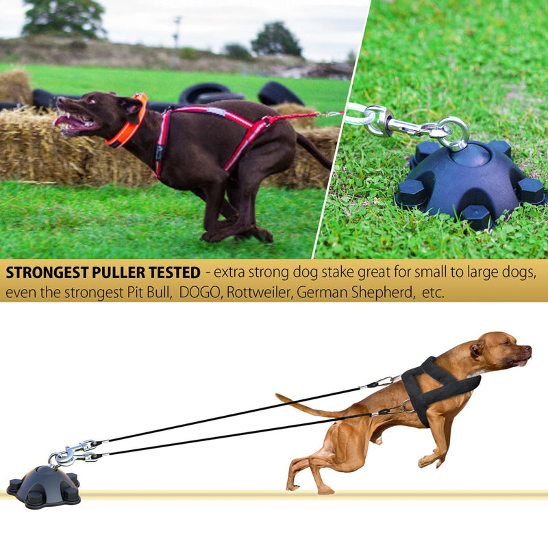 360° Swivel Dog Tie Out Anchor Stake with 5 Screw Anchors - Holds 1200lbs, Great for Dogs Up to 150lbs - Yard Leash and Anchor with Lifetime Replacement stake without cable - PawsPlanet Australia