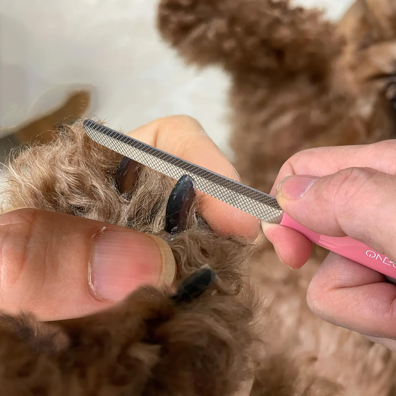 OneCut 6" Dog Nail Clippers for Small, Medium and Large Breed Professional Pet Nail Trimmers -Suitable for Cats, Rabbits and Guinea Pigs with Safety Guard to Avoid Over Cutting (Pink) Pink - PawsPlanet Australia