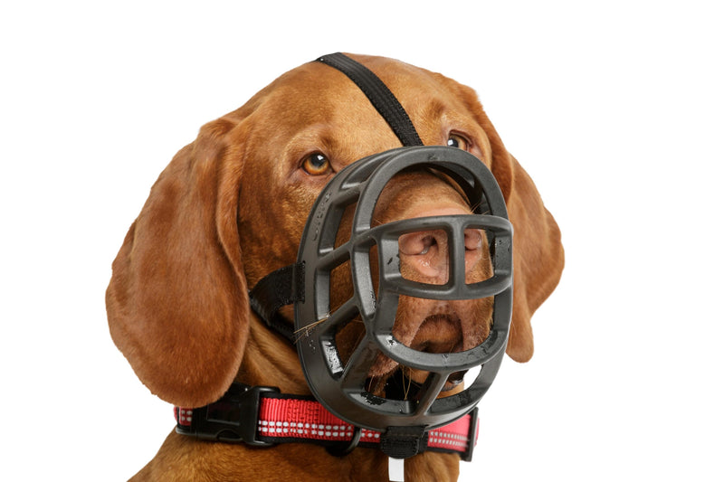 BASKERVILLE Ultra Dog Muzzle- Black Size 4, Perfect for Medium Dogs, Prevents Chewing and Biting, Basket allows Panting and Drinking-Comfortable, Humane, Adjustable, Lightweight, Durable - PawsPlanet Australia