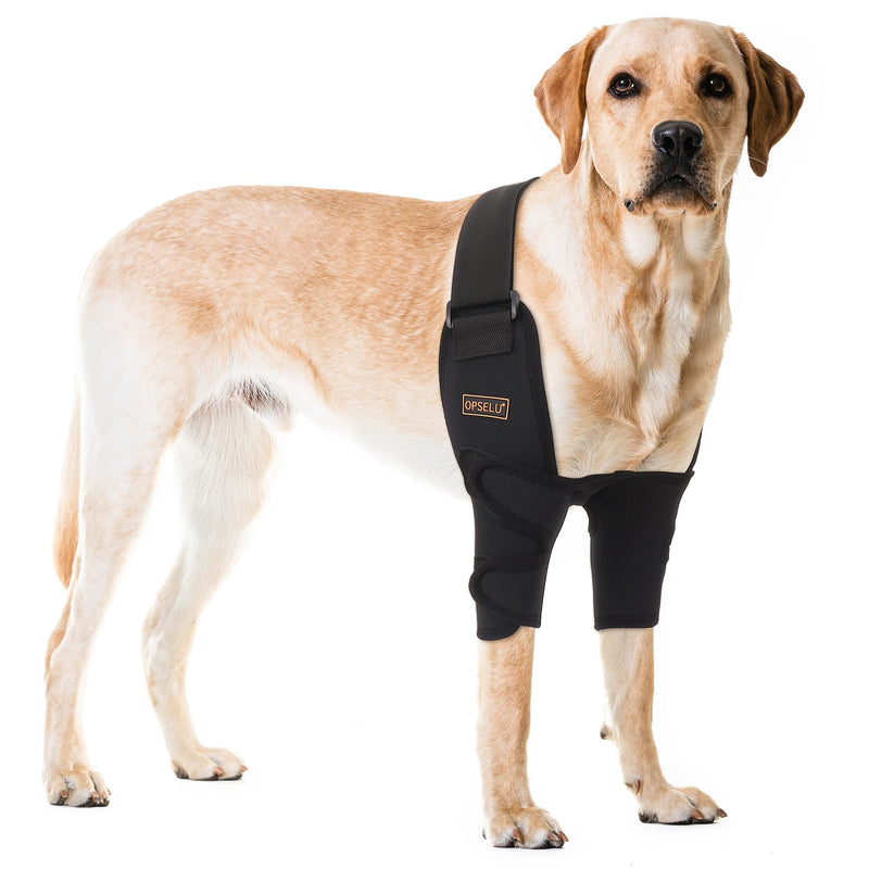 Dog Elbow Protector for Pet Elbow Dysplasia, Shoulder Dislocation - Offers Elbow Support, Helps with Loss of Stability Caused by Arthritis, Prevents Licking and Biting, Dog Front Leg Brace (XL) Both Legs XL