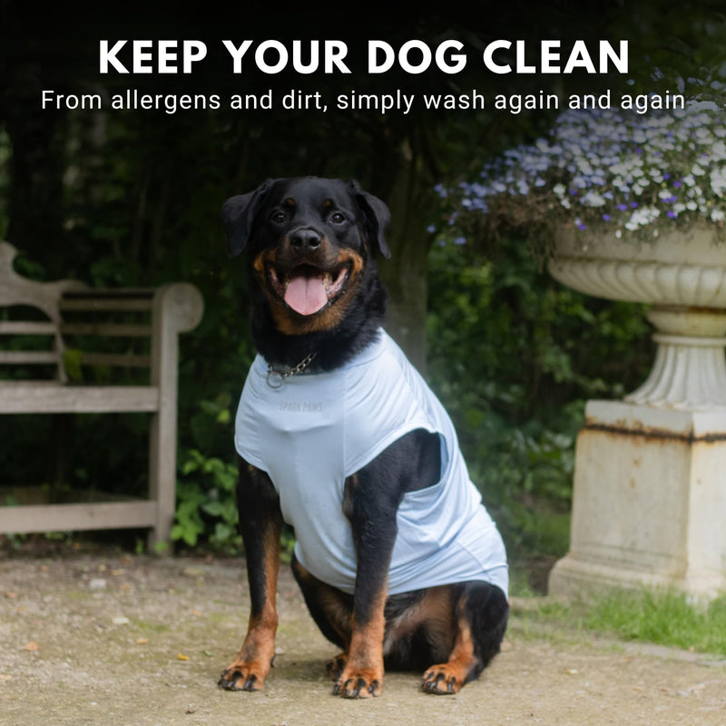 Spark Paws Sunblock Dog T-Shirt, SPF30 Protection, Lightweight Breathable Quick Dry for Dogs with Sensitive Skin - Blue & Grey (Set of 2) - 3XL 3XL: 60-80lbs - PawsPlanet Australia
