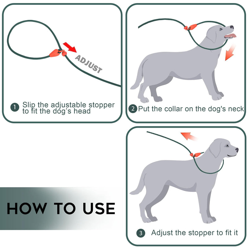 Slip Lead for Dogs Dog Leash Dog Leash for Small Medium Dogs Puppy Leash 6FT 6 Colors Strong Nylon Dog Training Leash No Pull Rope (Green) 6 FT Green - PawsPlanet Australia