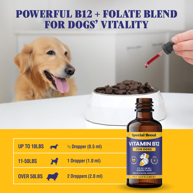 Special Breed Liquid Vitamin B12 for Dogs – Methylcobalamin and 5-MTHF – Boosts Energy, Appetite, Mood & Immune System Support, Easy-to-Use Dropper - Chicken Flavor, 2 fl oz - PawsPlanet Australia