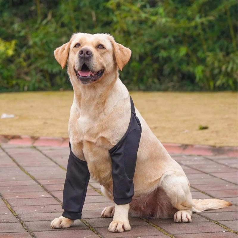 Pack of 2 Adjustable Elbow & Knee Support for Dogs, Breathable Mesh Joint Protectors with Fastening, Support Bandage for Dogs for Arthritis, Lameness & Post Surgery, Black/Grey