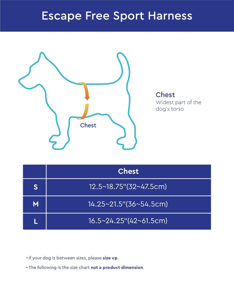 Gooby Escape Free Sport Harness - No Choke Step-in Patented Neoprene Small Dog Harness with Four-Point Adjustment - On The Go Dog Harness for Medium Dogs No Pull and Small Dogs for Everyday Use Small chest (12.5-18.75") Turquoise - PawsPlanet Australia