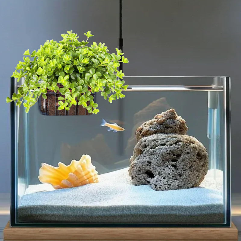 4 Pcs Aquarium Plant Holder,Hanging Fish Tank Plant Pot Aquarium Planter Cups,Suitable for Fish Tank Scene Arrangement of a Variety of Plants Hydroponics - PawsPlanet Australia
