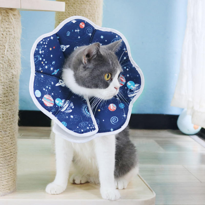 Genérico Cone Collars for Cats | Surgical Elizabethan Bell for Dogs - Adjustable Neck Cover Prevents Licking for Cats, Puppies and Small and Large Animals