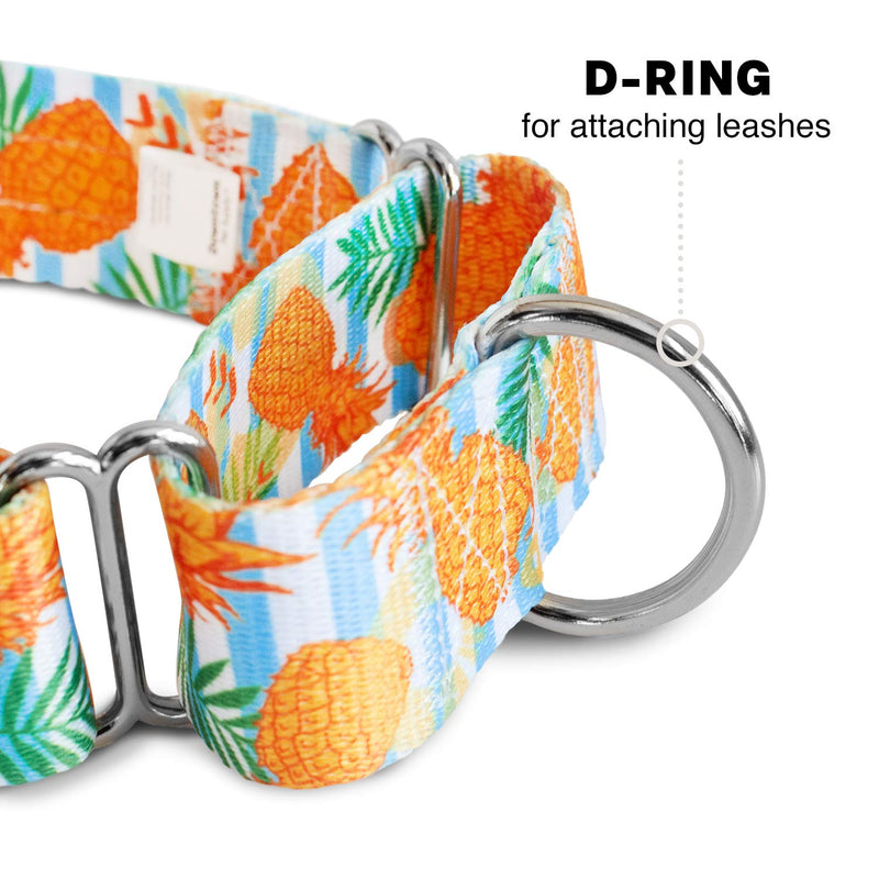 Downtown Pet Supply - Martingale Collar for Dogs - Dog Training Collar - Big, Wide & Thick Dog Collar - Escape-Proof, Weatherproof, Durable and Comfortable - Pineapple - Medium Dog Collar Medium: 11"-20" - PawsPlanet Australia