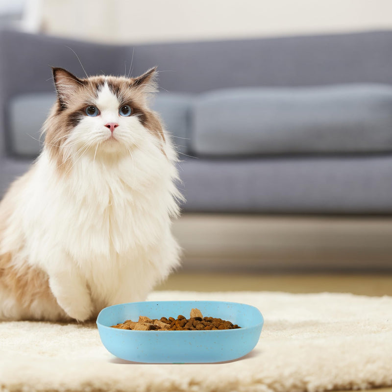 Cat Food Bowl Set, 6 inch Wide Shallow Cat Bowl for Relief Whisker Fatigue,Small Flat Cat Dish, Shallow Pet Feeding Dish or Plate for Cats and Small Dogs (4Pcs) 4 Pcs Cat Bowl - PawsPlanet Australia