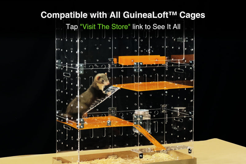 GuineaLoft™ Food Feeder Yellow - Say Goodbye to Traditional Bowls! Ultimate Feeder for Small Pets Like Guinea Pigs, Rabbits and Chinchillas. Designed & Made by Seasoned Owners - GuineaLoft Exclusive - PawsPlanet Australia