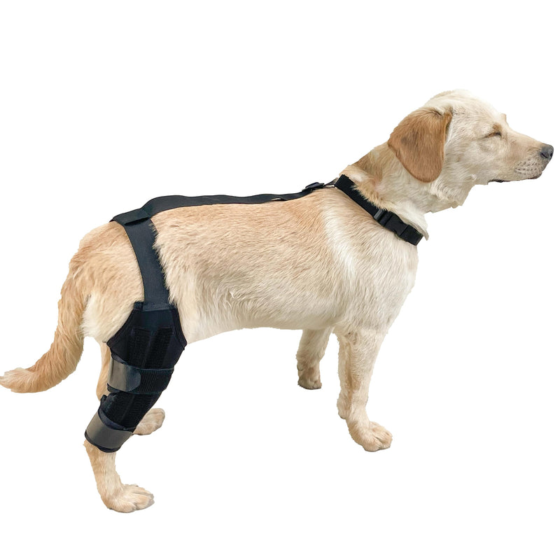 Dog Knee Brace for Hind Leg Support, ACL Recovery & Joint Pain Relief, Adjustable Compression Sleeve with Harness，Universal for Both Left and Right Legs (XS) XS