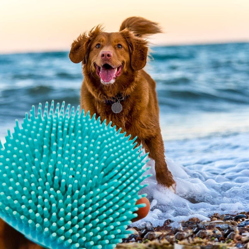New 2024 Pet grooming Bath Brush, Scrubber Shampoo Dispenser, Shower Brush for Washing Short and Long Hair Dogs and Cats Pet Bath Massage Brush (Yellow) Yellow - PawsPlanet Australia