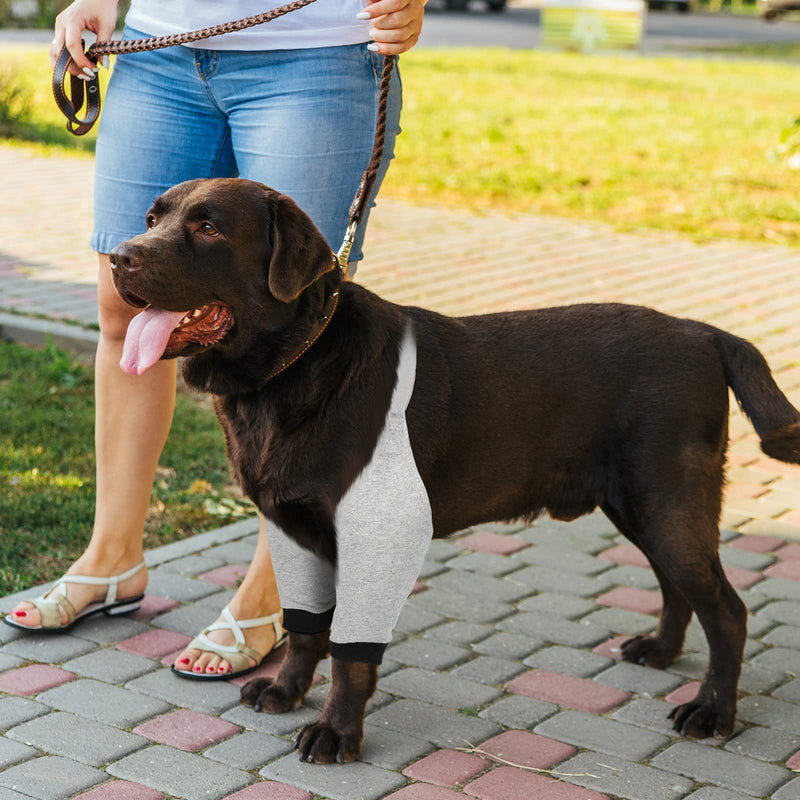 2 Pairs Dog Front Leg Braces Dog Recovery Sleeve with Elastic Band Soft Padded Dog Recovery Front Legs Sleeve Adjustable Dog Knee Brace Dog Elbow Protector for Medium Large Dog, 2 Colors - PawsPlanet Australia