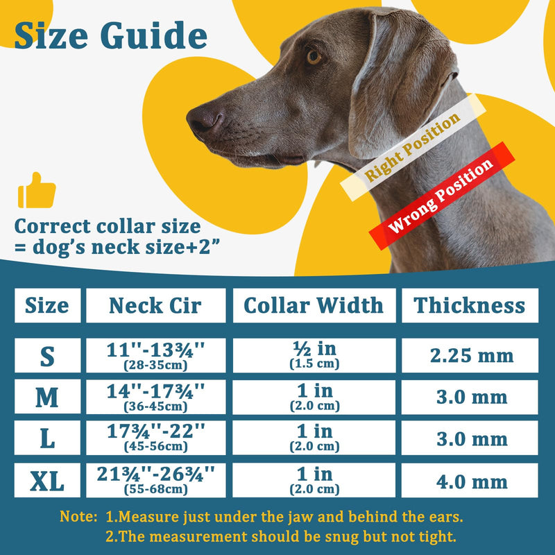 Mayerzon Martingale Prong Collar for Large Medium Dogs Beagle Husky Doberman, Adjustable Pinch Collar for Dogs Walking Training Collar That Pull, Packed with Extra Links, Rubber Cap and Slip Collar L Silver