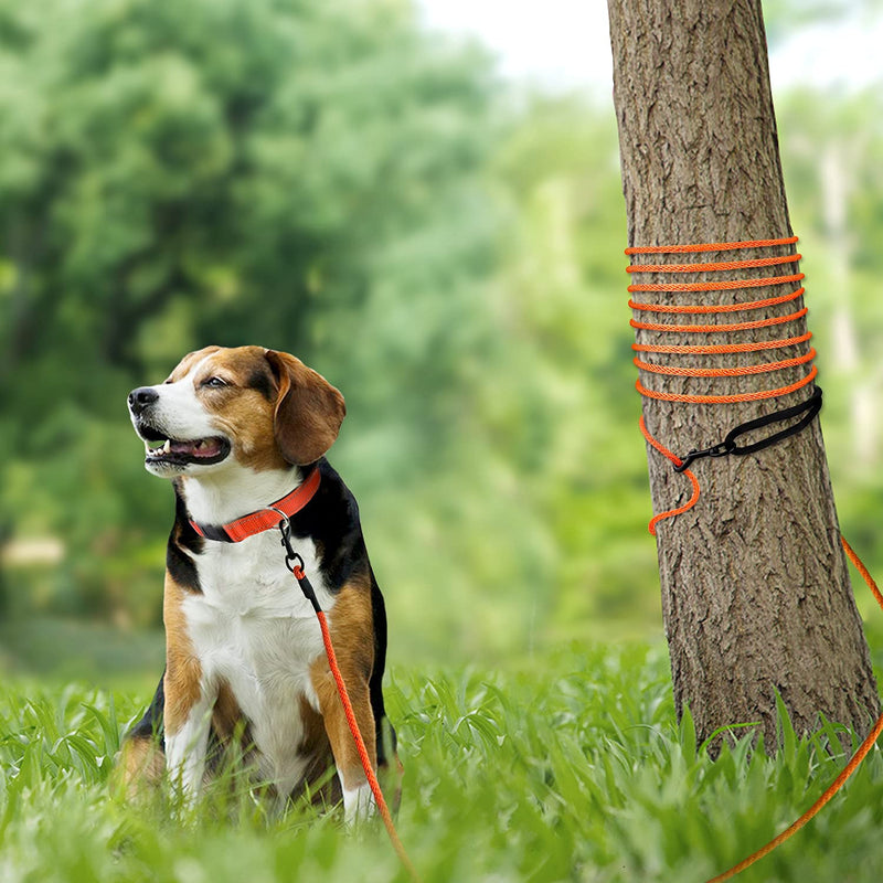 Joytale Long Dog Training Leash, 30FT Tie Out Rope Check Cord with Padded Handle, Reflective Recall Lead for Puppy and Small Dogs, Orange 30 ft(Pack of 1) - PawsPlanet Australia