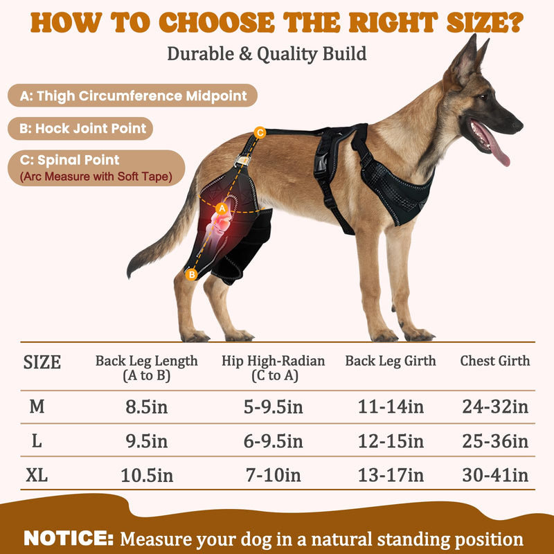 Dog Knee Braces for Back Leg, Adjustable Dog Leg Braces for Torn ACL Hind Leg with Metal Stabilizers, Better Recovery Knee Brace for Rear Leg Cruciate Ligament Injuries & Hip Dysplasia, XL