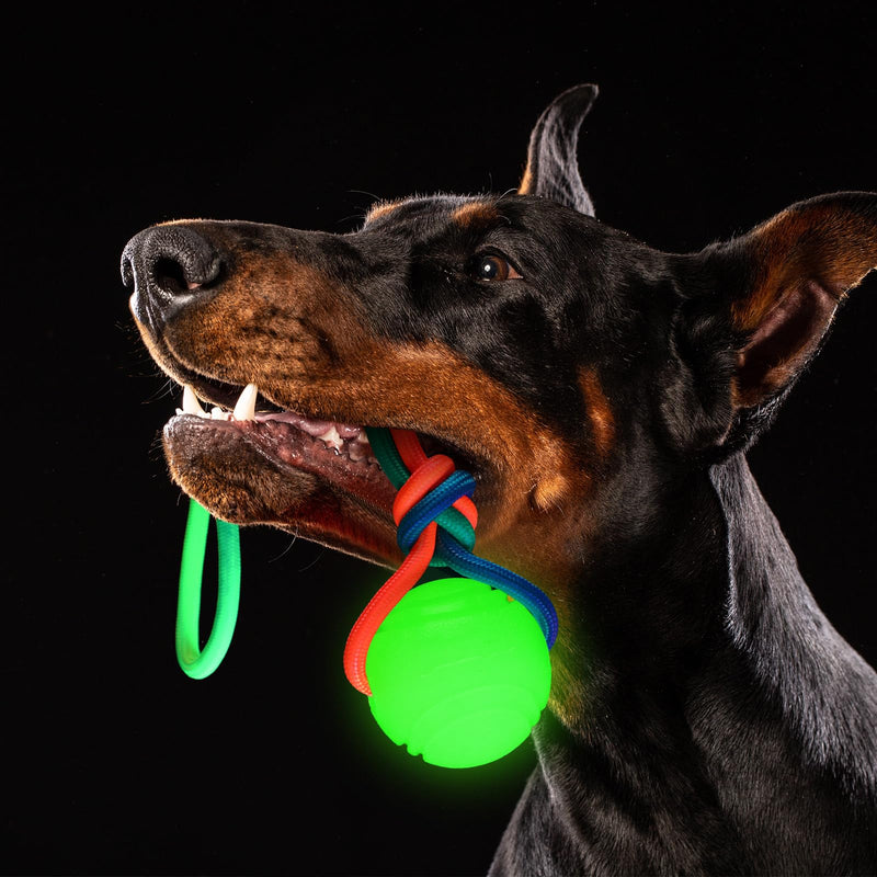 2 Pcs Glow in The Dark Dog Training Ball on Rope 2.36 Inch 12 Inch Rope Glowing Rubber Dog Toys Dog Pull Tug Throw Toys with Handle Reward Fetch Exercise Ball for Small Large Medium Dogs - PawsPlanet Australia