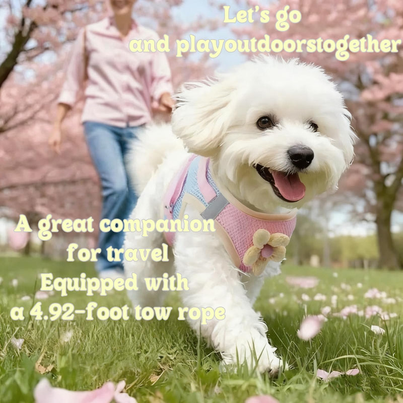 Floral Mesh Dog Harness with Matching Leash, Summer Lightweight Pet Vest, Pink/Yellow (Pink, M:8-12lbs) - PawsPlanet Australia