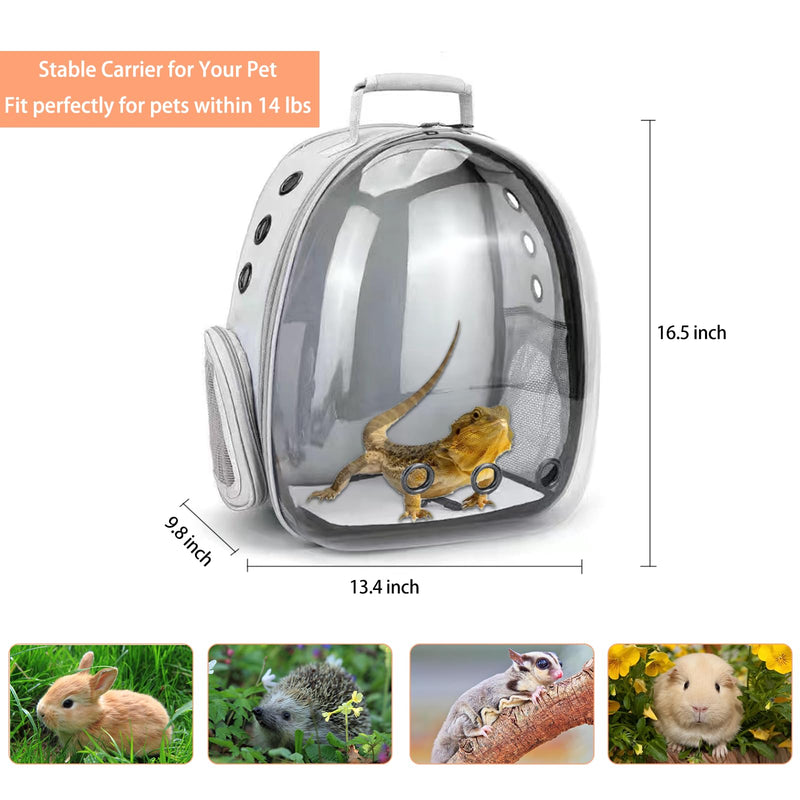 Bearded Dragon Carrier with Harness and Leash Set Large Small Animal Carrier Backpack Bubble Window Portable Small Pet Carrier for Reptile Lizard Rabbit Bird Guinea Pig Cat Travel Walking Bearded Dragon Carrier - PawsPlanet Australia