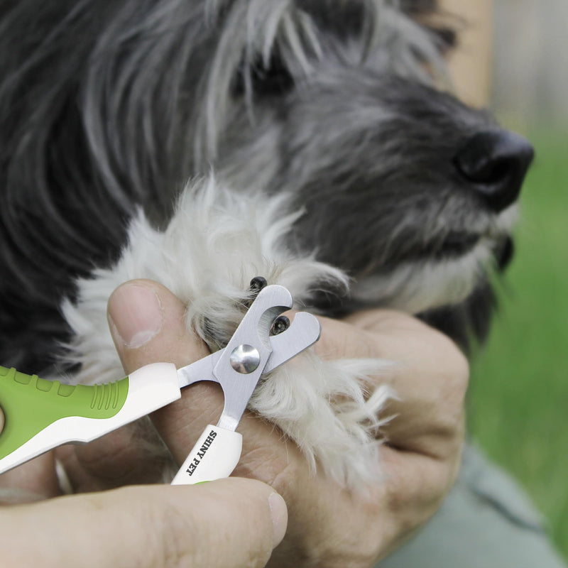 Pet Nail Clippers for Small Animals - Best Cat Nail Clippers & Claw Trimmer for Home Grooming Kit - Professional Grooming Tool for Tiny Dog Cat Bunny Rabbit Bird Puppy Kitten Ferret - Ebook Guide Angled - PawsPlanet Australia